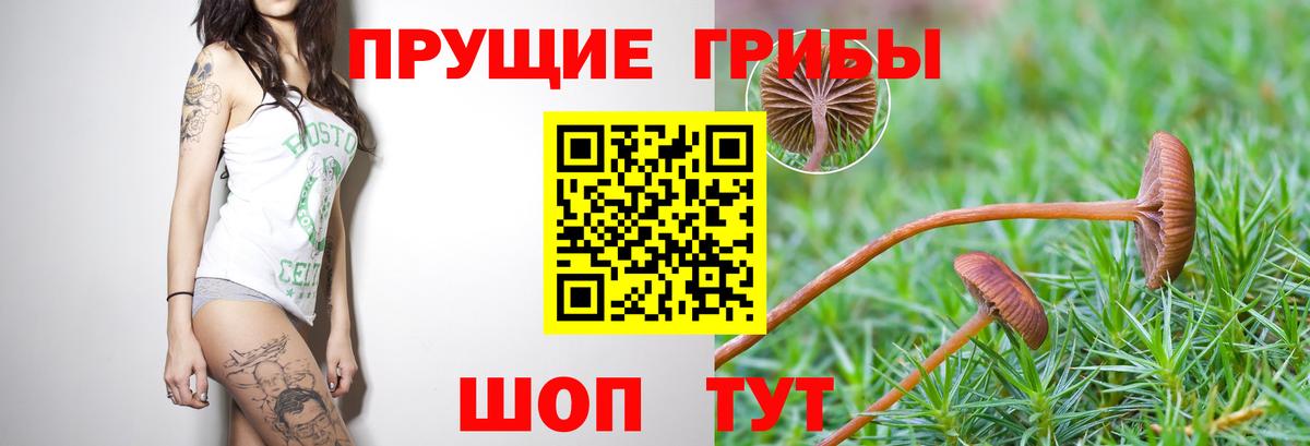 Псилоцибиновые грибы MAGIC MUSHROOMS  Вход с VPN  Новоуральск 