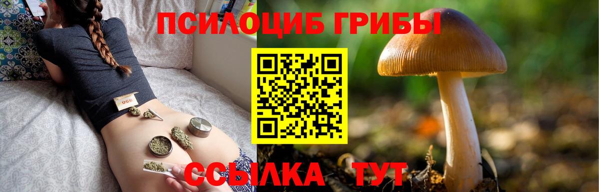 Псилоцибиновые грибы GOLDEN TEACHER Новоуральск